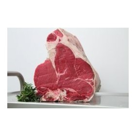 BA FIORENTINA SCOTT.FETTE gr 1000 SV UE